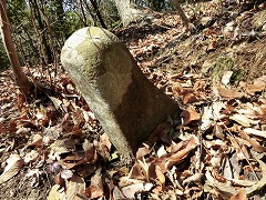 �]�����Ă���M�\��