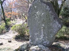 �����m�Ԃ̋��