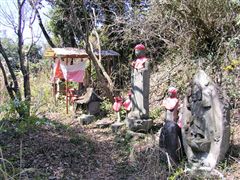 �V�������q�n��