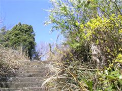 ��̎R����