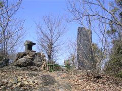 �R���̍��{��_