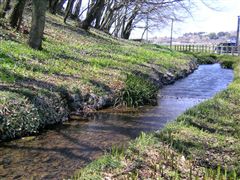 �J�^�N���炭�J�^�N�������Ɨ���鏬��