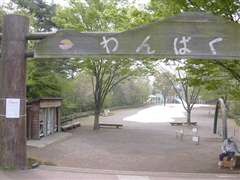 ���ς��L��