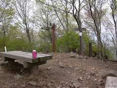 �R���̃x���`