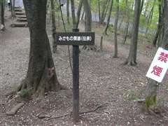 �݂����̊֏���