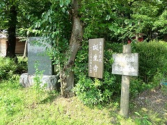 �~�m���a�n�ē���