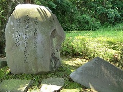 ���t�W�̔�