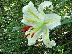 ���}����