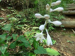 �I�I�M�{�E�V