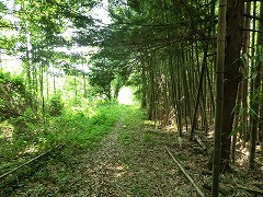 �|�т������