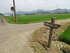 �c�̒����~�m���a�n��