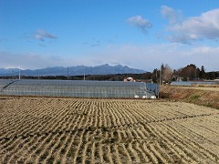 �Y���R�A��ԎR