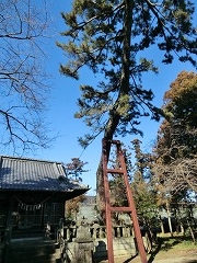 �S���Ɏx����ꂽ��