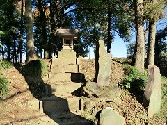 �x�m�u�ƐH�s�g�\�̔�