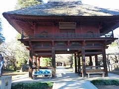 �Ηю��R��