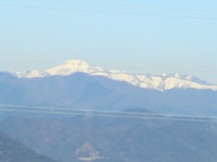 ���������R