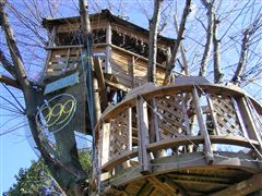 ツリーハウス