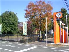 �q���̐X����