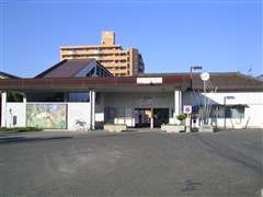 �����ɐ�����@�����w