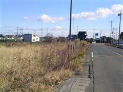 �L���������s��