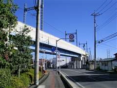 �����ɐ��������