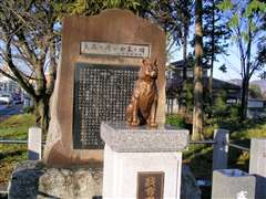 �����̂Ȃ��R���̔�