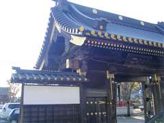 �����t�̖�