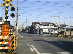 �i�q���ѐ�����