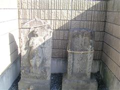 ���̍M�\��