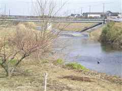 �i���̓y��