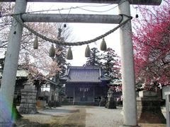 ��A�V���{