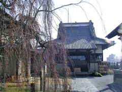 ���A�@�̃V�_���A�J�V�f