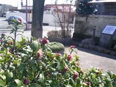 �����Ղ̗����̏�����