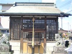 ���{�_��