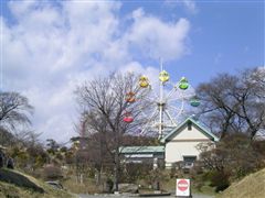 ���R����