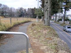 �����؂̗V����