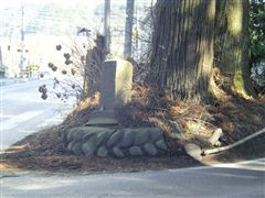 �U��Ԃ��Č����Ǖ��̐Δ�