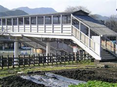 �����������@������w