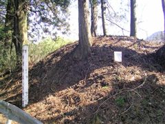 ���̈ꗢ��