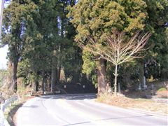 �Ăѐ����؂̒���