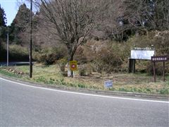 ����ʍs�����ɋȂ���