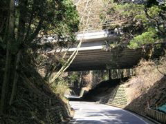 �F�s�{�������H�̍���