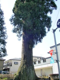 �Ǖ��̕ς�萙