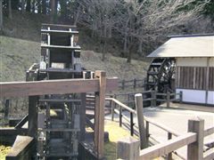 ���{�̐���