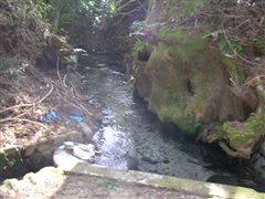 ���炩�ȗ���̐��H