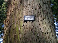 ���ł��I�[�i�[�̐�