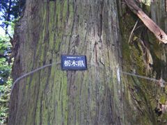 �Ȗ،����I�[�i�[�̐�