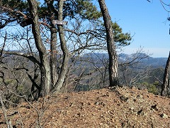 ���O���R