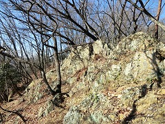 ������荞��