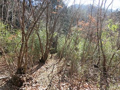 ���̓��̂悤��